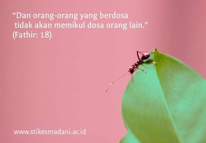 KISAH NABI DAN SARANG SEMUT