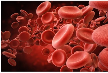 Apa sih bedanya Ferro Sulfat, Ferro Fumarat dan Iron Polymaltose Complex?